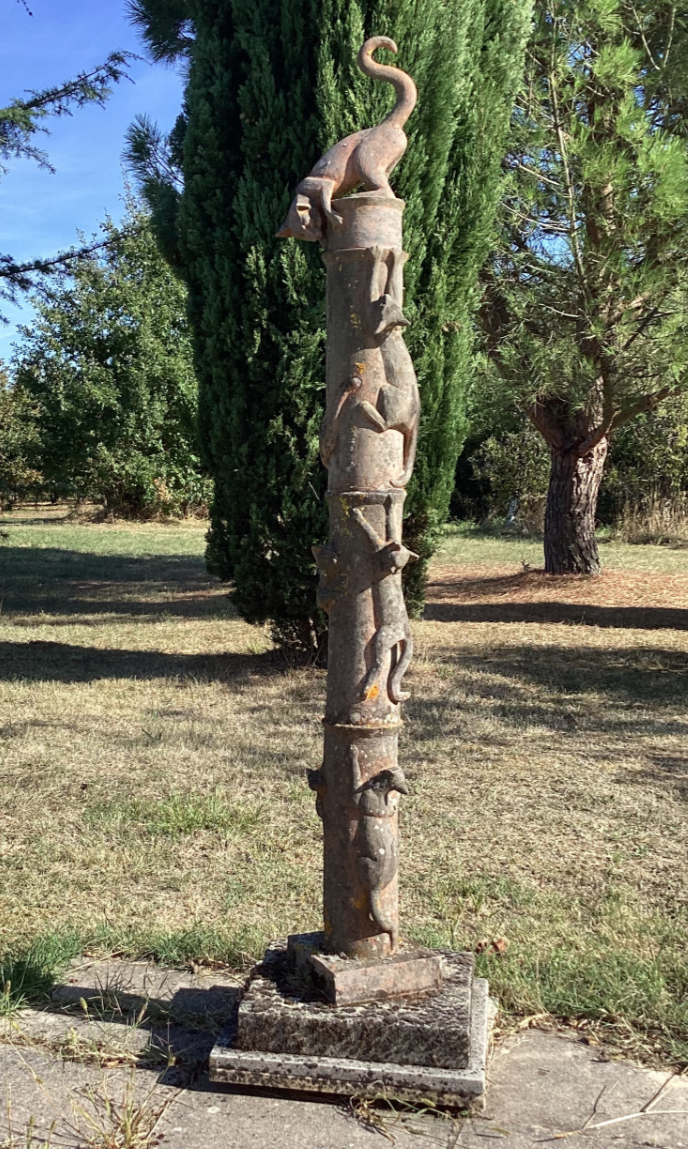 kittens at play 1128