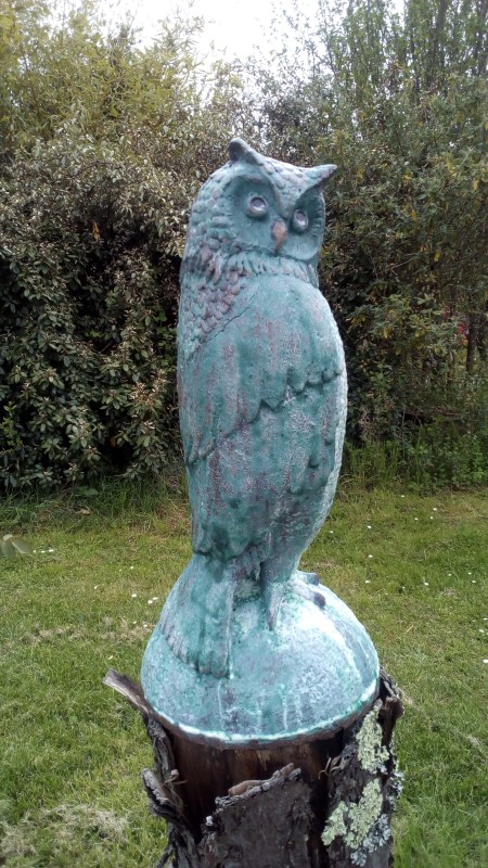 owl